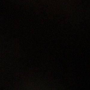 Meet your Posher, Talia